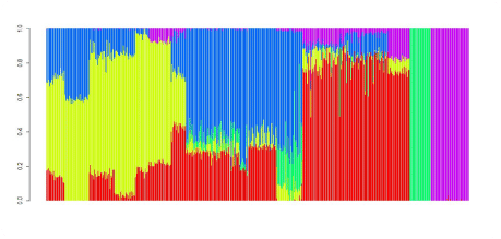 admixture european calculator