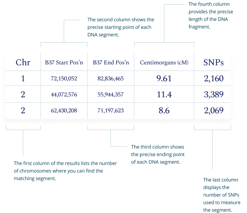 Breakdown of how to read one to one results