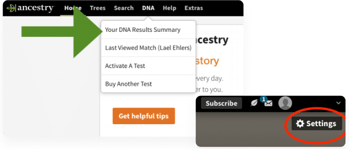 dna dropdown tab pointing to your dna results summary and settings
